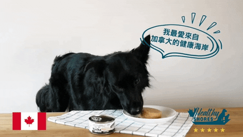 wpet giphyupload GIF