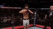ufc 223 sport GIF by UFC