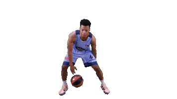 Balling Liga Endesa Sticker by ACB
