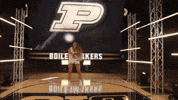 Purdue Basketball GIF by Purdue Sports