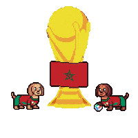 World Cup Morocco Sticker by HotDogs