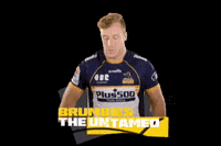 Harry Lloyd GIF by BrumbiesRugby