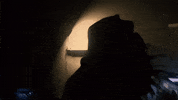 Alabama GIF by Casanova Records