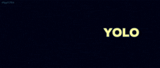 andy samberg yolo GIF