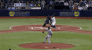 yanks GIF by SB Nation