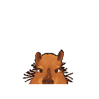 Capybara Sticker