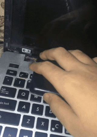 hopbun giphygifmaker giphygifmakermobile GIF