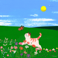 Spring GIF by Furrend