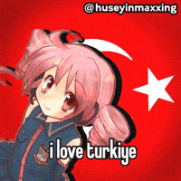 Turkey Turkish GIF