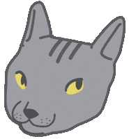 Cat Looking Sticker by Jacub Allen