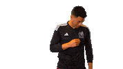 World Cup Football Sticker by MiSelecciónMX