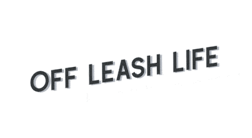 Redbearddogtraining Off Leash Sticker by Red Beard