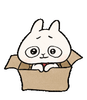 hello_white_fungus rabbit daily 可愛 feed me Sticker