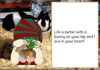 Bunny Rabbit Gnome GIF