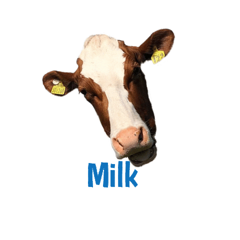 Milk Cow Sticker by Mossgiel Farm