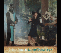 ketochow keto ketogenic keto diet ketochow GIF