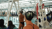 athletics swimming GIF by GreenWave