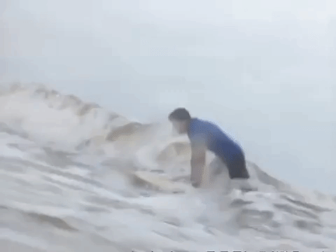 the mystery files of shelby woo nicksplat GIF
