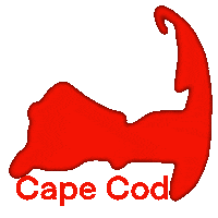Summer Beach Sticker