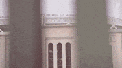 Yankee Stadium GIF by NYCFC