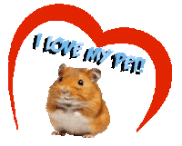Guinea Pig Love Sticker