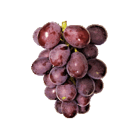 Grapes Budou Sticker by suikanosato