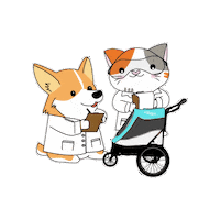petiquepets petique cartoon cat and dog testing safety ip cat and dog Sticker