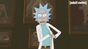 Season 3 Episode 10 GIF by Rick and Morty