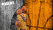 Bc Nokia Sport GIF by Basket_fi