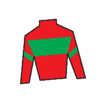 Sport Silk Sticker by Kentucky Derby