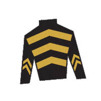Sport Silk Sticker by Kentucky Derby