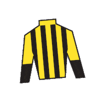 Sport Silk Sticker by Kentucky Derby