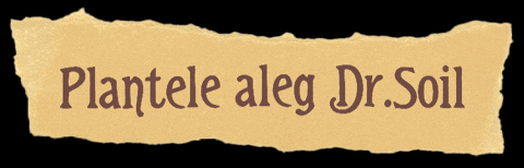 Vintage Label GIF by Dr.Soil