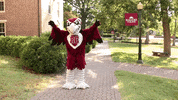 Rooney Dancing GIF by Roanoke College