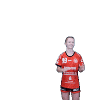 Handball Sticker by Hollenstedt-Handball