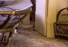 jermbly giphyupload GIF