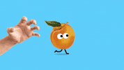 orange gabrielmellofranco GIF by Studio Hello