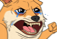 Emotional Damage Crying GIF by Doge Pound