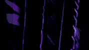 Video Art GIF by cskonopka