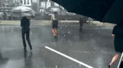 fearless GIF by Taylor Swift