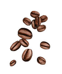Coffee Beans Cold Brew Sticker by katerinaharcubova