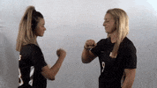 Wheeling University GIF by WU Cardinals
