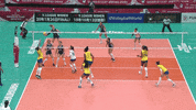Argentina Point GIF by Volleyball World