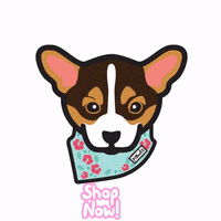 pawls dog funnydog dogwink pawl GIF