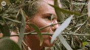 Huntedau GIF by Hunted Australia