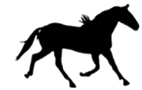 horse STICKER