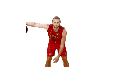 Bouncing Liga Endesa Sticker by ACB