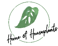 Logo Plants In A Box Sticker by Home of Houseplants