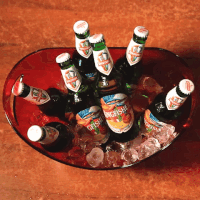 GIF by KingfisherWorld