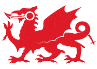 Dragon Wales Sticker by Urdd Gobaith Cymru